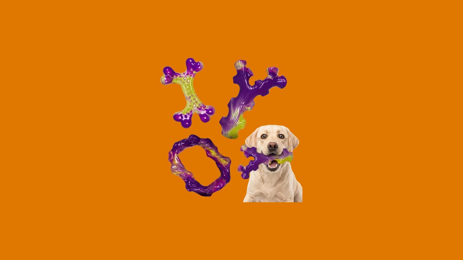 Frienhund Tough Dog Chew Toys, 3 Pack