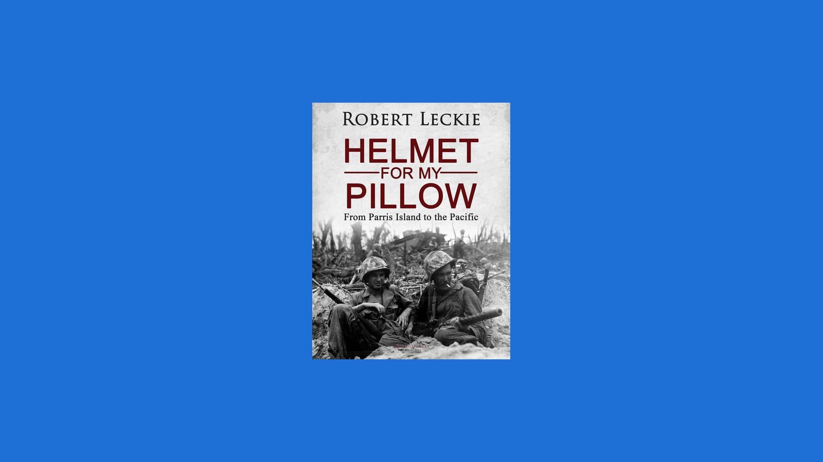 Helmet for My Pillow