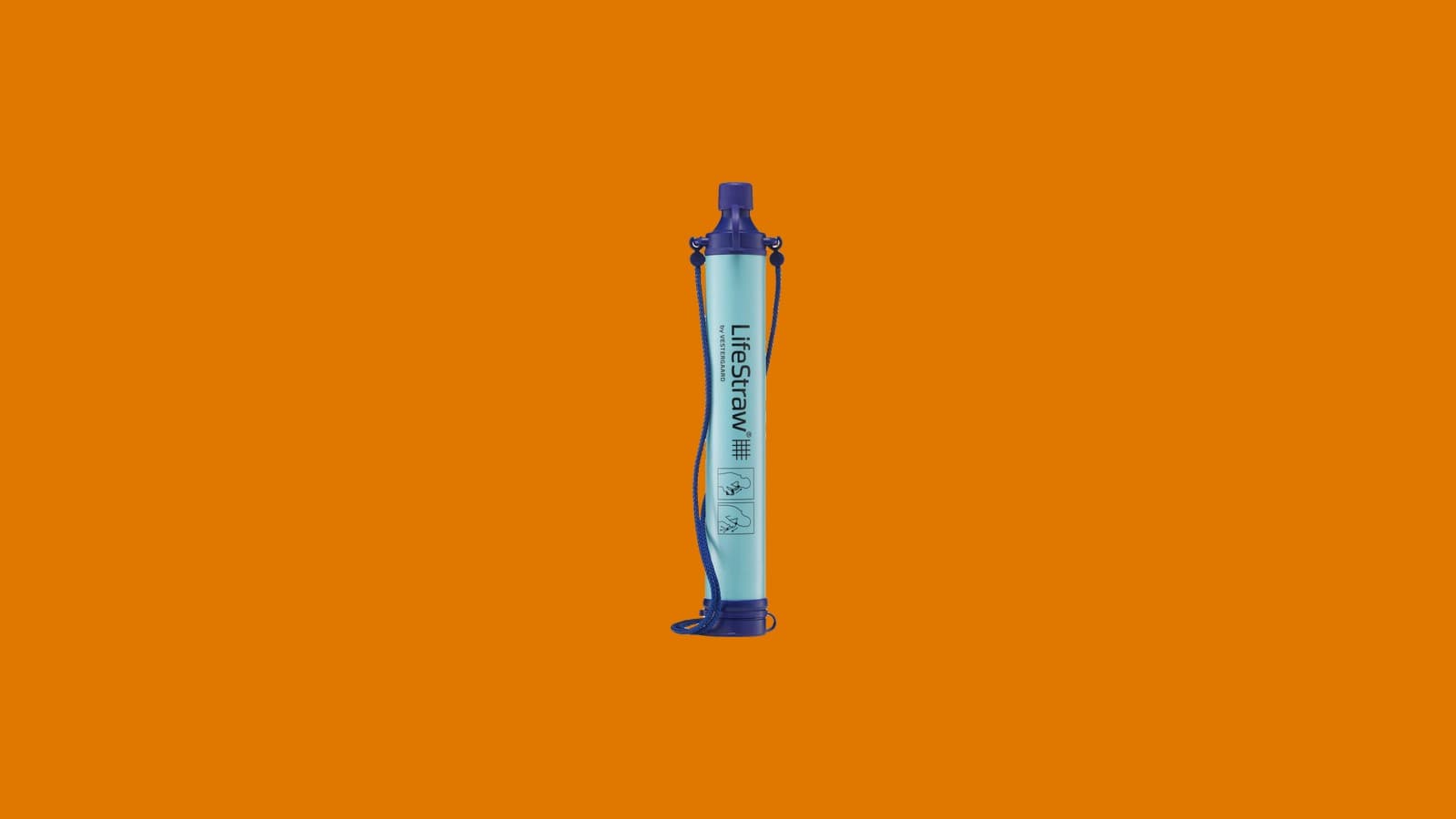 LifeStraw Personal Water Filter
