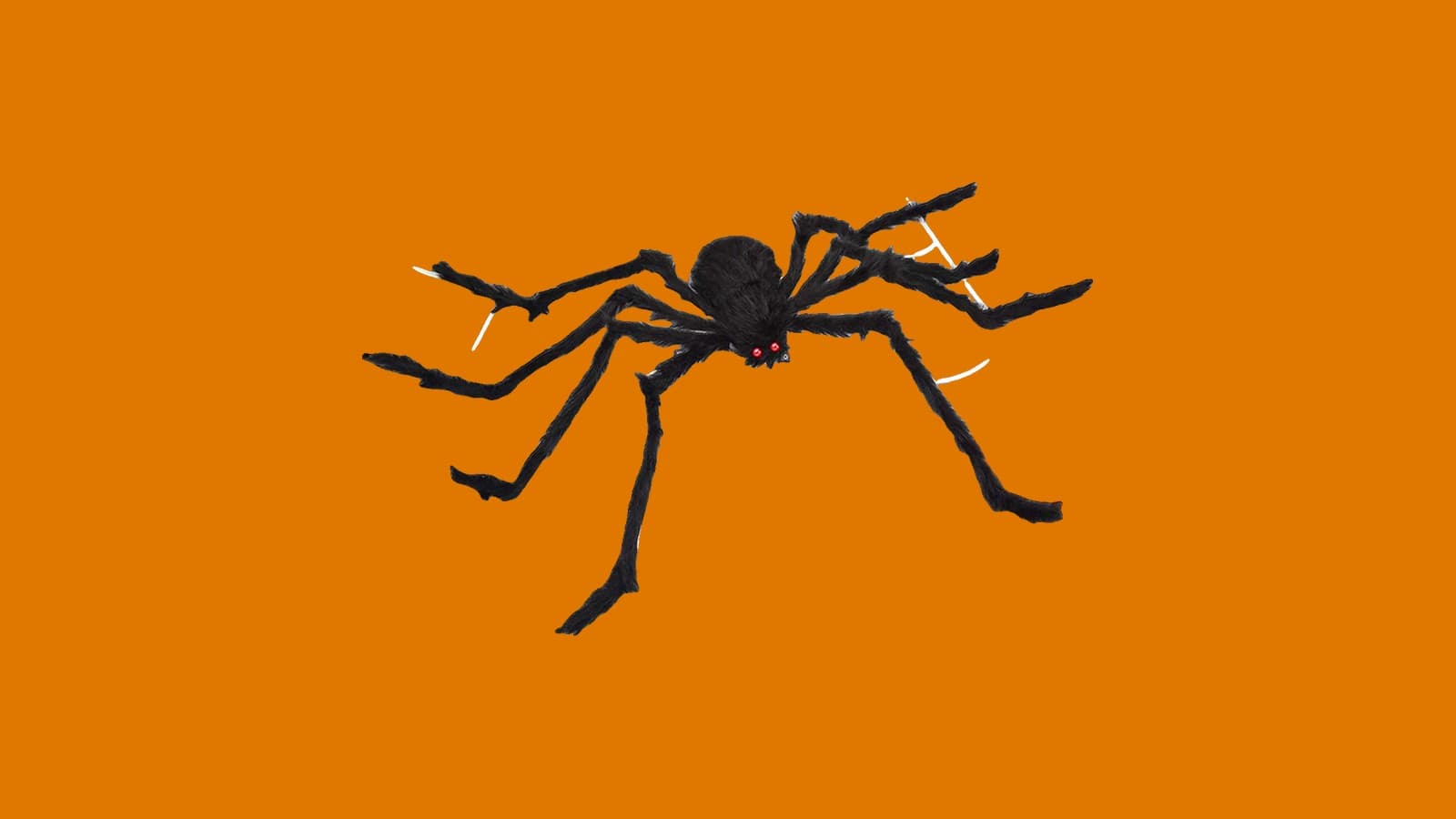 OCATO 200 in Spider Web with 59 in Giant Spider