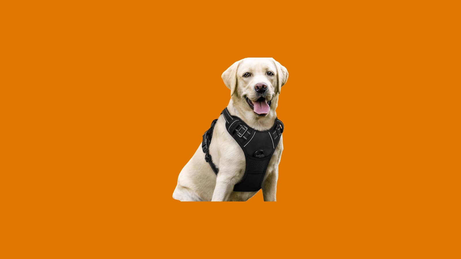 rabbitgoo No-Pull Dog Harness, Large