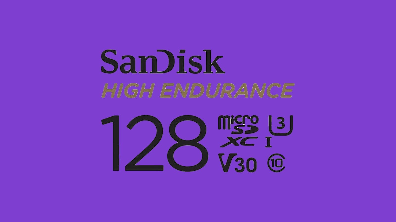 SanDisk 128GB High Endurance Video microSDXC Card with Adapter